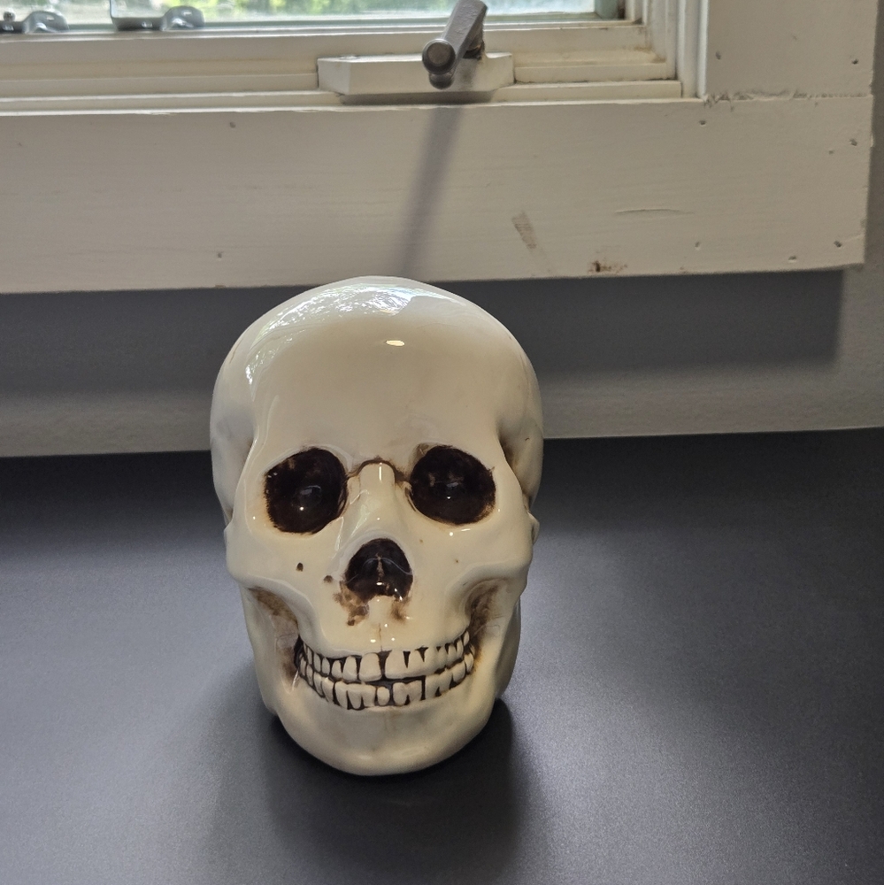 Pacific Giftware Skull Skeleton Ceramic Money Bank